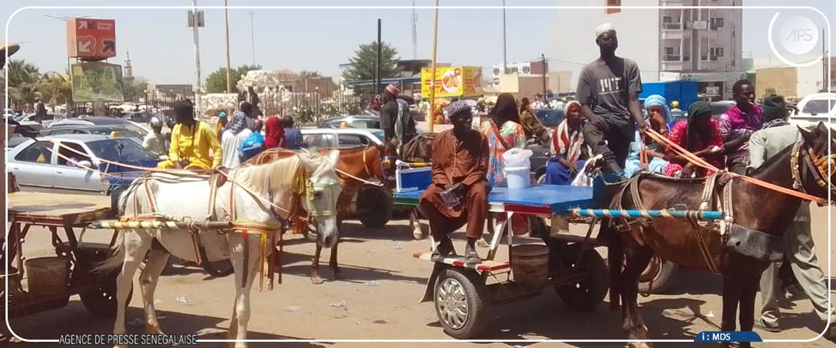 A Touba, les populations se rabattent sur les charrettes et motos du fait de la grève des transporteurs