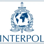 Fraude financière : Interpol évoque une hausse de 54 % de ses notices et diffusions (rapport)