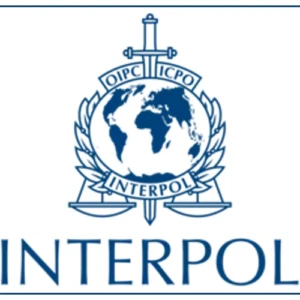 Fraude financière : Interpol évoque une hausse de 54 % de ses notices et diffusions (rapport)