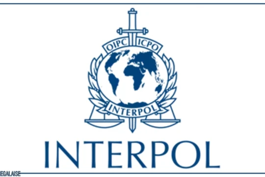 Fraude financière : Interpol évoque une hausse de 54 % de ses notices et diffusions (rapport)