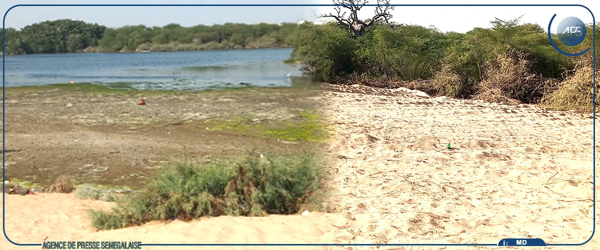 Mbour : un collectif se mobilise contre le remblaiement en cours sur la Lagune de Mballing