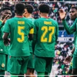 ‎Match amical : les Lions défendent leur suprématie face aux Scorpions en quête d’exploit  ‎