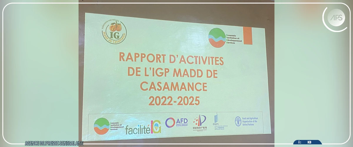 "Madd de Casamance" : des acteurs saluent les avancées notées depuis la labellisation