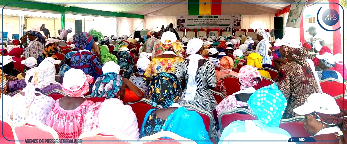 Agropole sud : des équipements de transformation à plus de 9 000 femmes