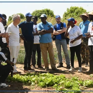 Kaolack : une mission du PAM a visité plusieurs projets agricoles à Gandiaye