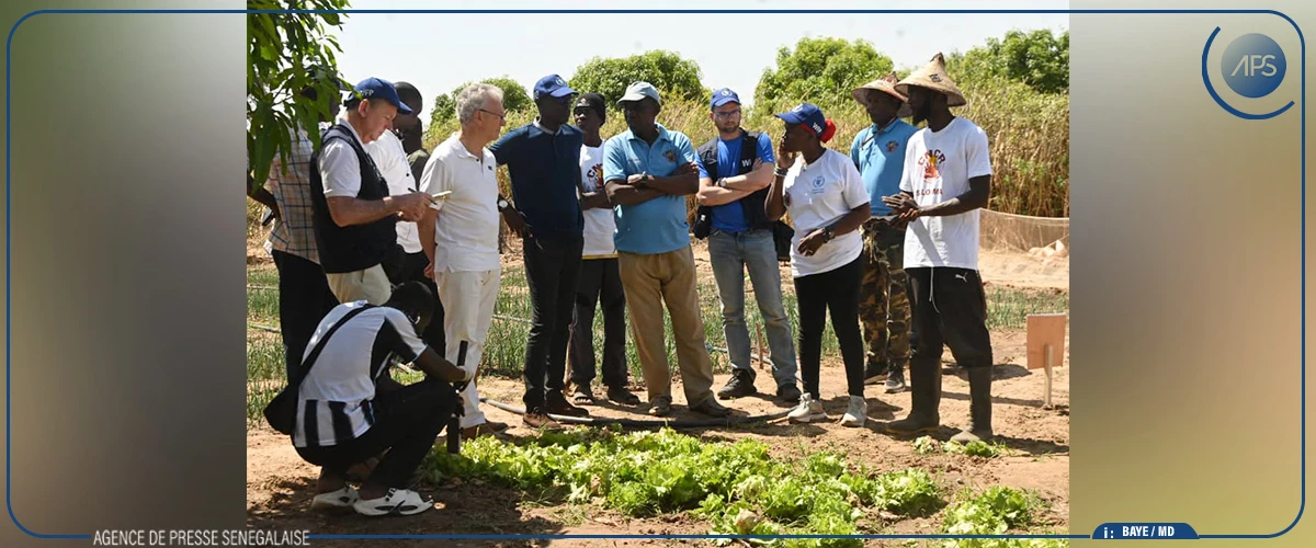 Kaolack : une mission du PAM a visité plusieurs projets agricoles à Gandiaye