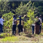 Basse Casamance: chercheurs et acteurs locaux inventorient un riche patrimoine agroécologique