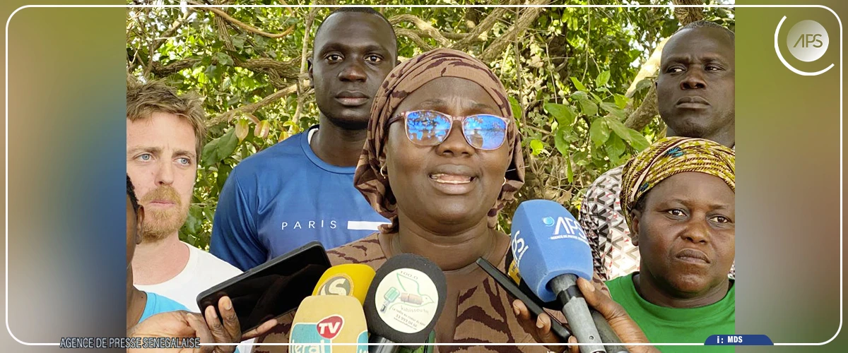 Basse Casamance: chercheurs et acteurs locaux inventorient un riche patrimoine agroécologique