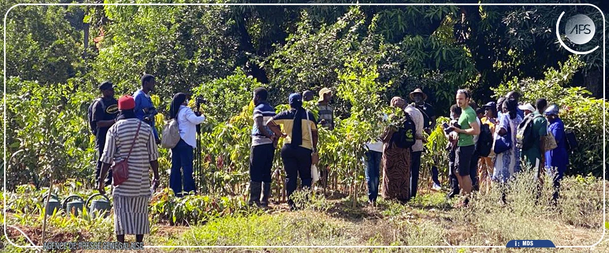 Basse Casamance: chercheurs et acteurs locaux inventorient un riche patrimoine agroécologique