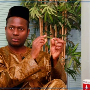 Drepaf, l'innovation galénique qui change la donne pour les enfants drépanocytaires