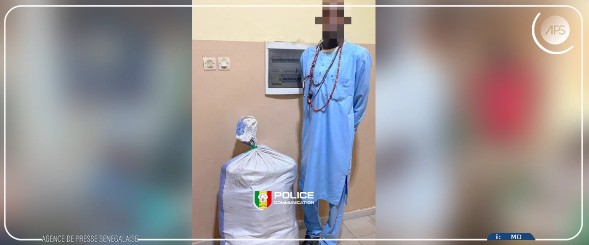 Guinguinéo : 25 kg de chanvre indien saisis par la Police, un individu interpellé