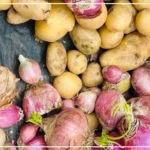 Bambey : le marché bien approvisionné en perspective de la Korité (service du commerce)