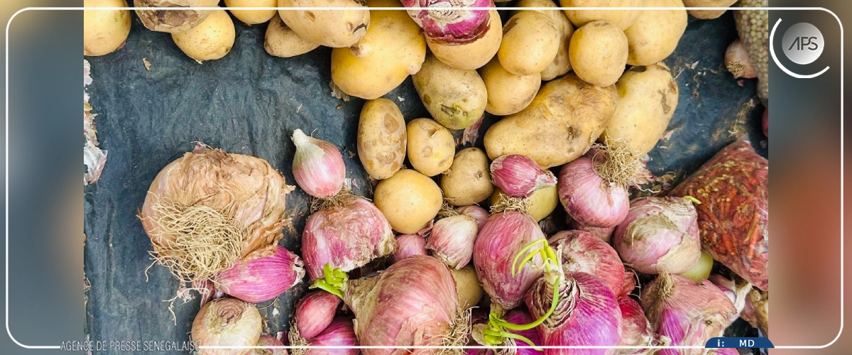 Bambey : le marché bien approvisionné en perspective de la Korité (service du commerce)