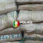 Guinguinéo : 25 kg de chanvre indien saisis par la Police, un individu interpellé