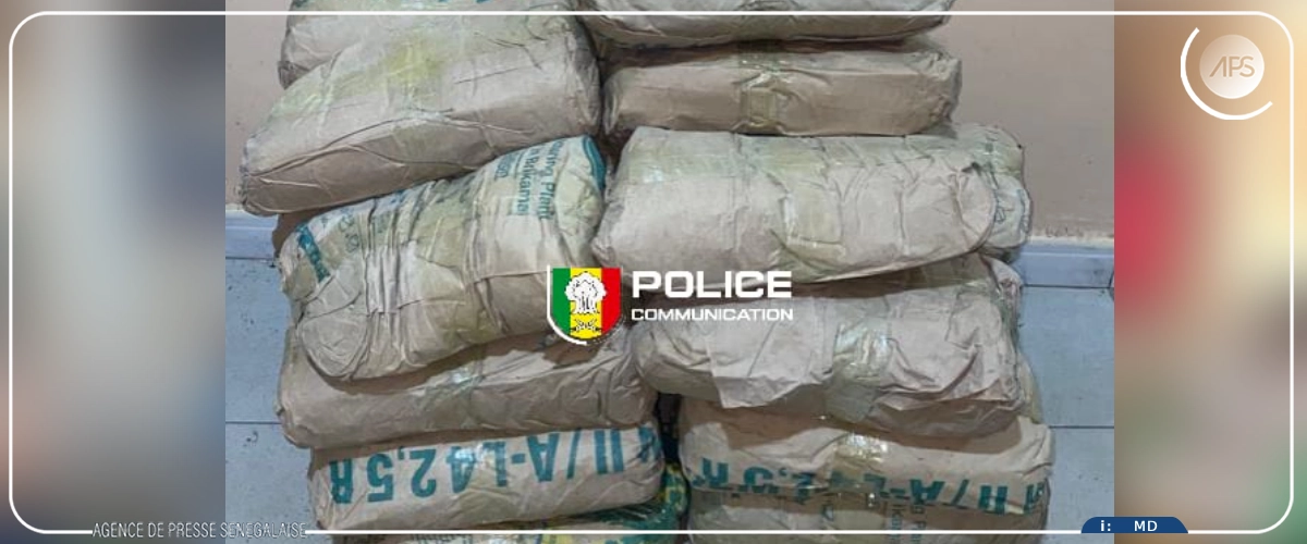 Guinguinéo : 25 kg de chanvre indien saisis par la Police, un individu interpellé