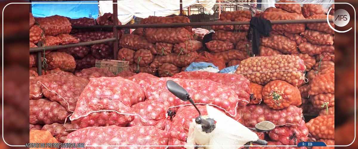 Commercialisation des produits horticoles : les maraîchers des Niayes dénoncent l’ineffectivité des mesures