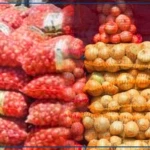 Oignon et pomme de terre, une filière plombée par des contraintes structurelles, malgré des records de production