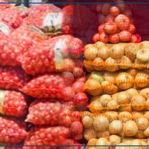 Oignon et pomme de terre, une filière plombée par des contraintes structurelles, malgré des records de production