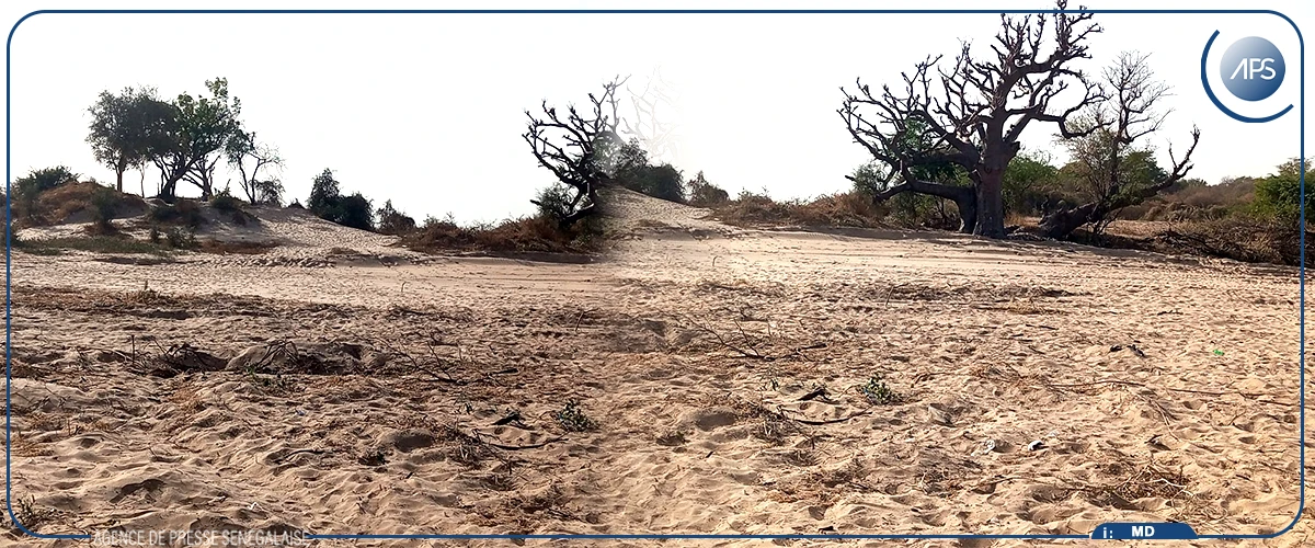 Mbour : un collectif se mobilise contre le remblaiement en cours sur la Lagune de Mballing