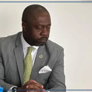 Le ministre gabonais de l'Agriculture en visite "stratégique" à Dakar, la filière avicole au menu des discussions