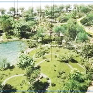 L’association Dynamique verte Sénégal plaide pour la sauvegarde du projet d’aménagement du parc forestier urbain Dakar-Yoff