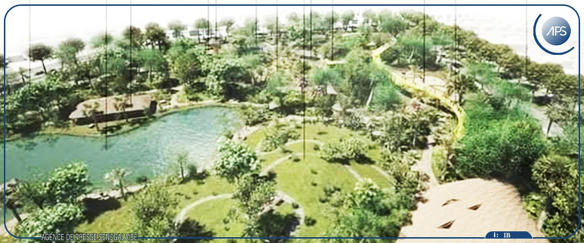 L’association Dynamique verte Sénégal plaide pour la sauvegarde du projet d’aménagement du parc forestier urbain Dakar-Yoff