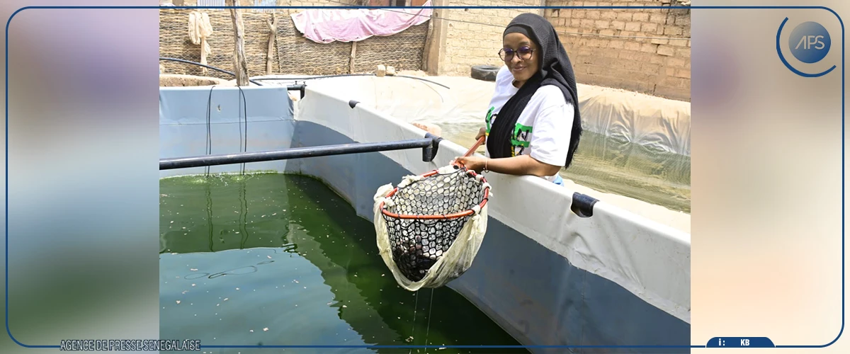 Mamadou Hawa Ba, une étudiante passionnée de pisciculture à la conquête du marché local de Tambacounda