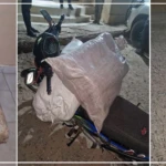 Kaolack : saisie de 23 kg de chanvre indien par la BRS