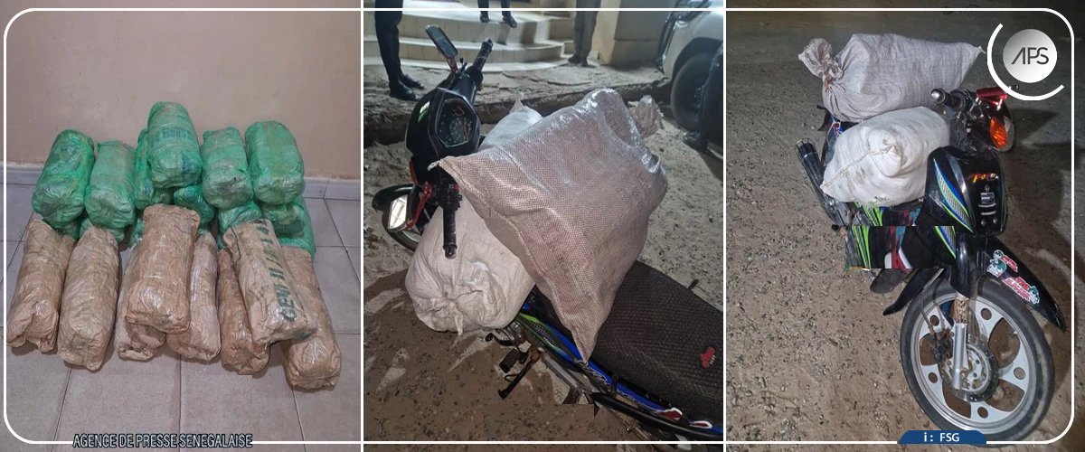 Kaolack : saisie de 23 kg de chanvre indien par la BRS