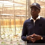 Pomme de terre : l'Etat va motiver la recherche pour couvrir les besoins du pays en semences certifiées (ministre)