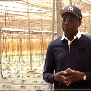 Pomme de terre : l'Etat va motiver la recherche pour couvrir les besoins du pays en semences certifiées (ministre)