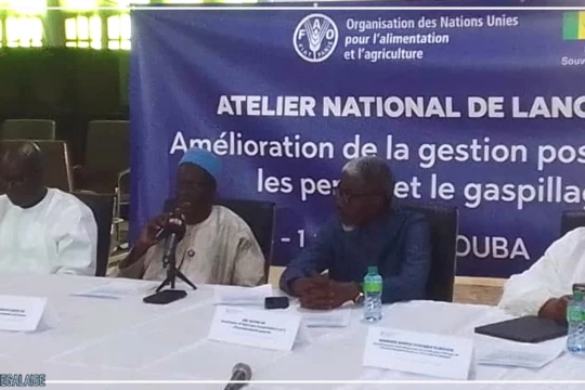 Un projet dédié à la réduction des pertes de récoltes lancé à Touba