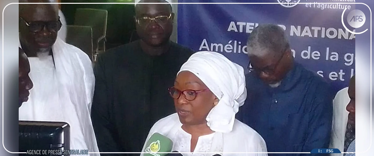 Un projet dédié à la réduction des pertes de récoltes lancé à Touba