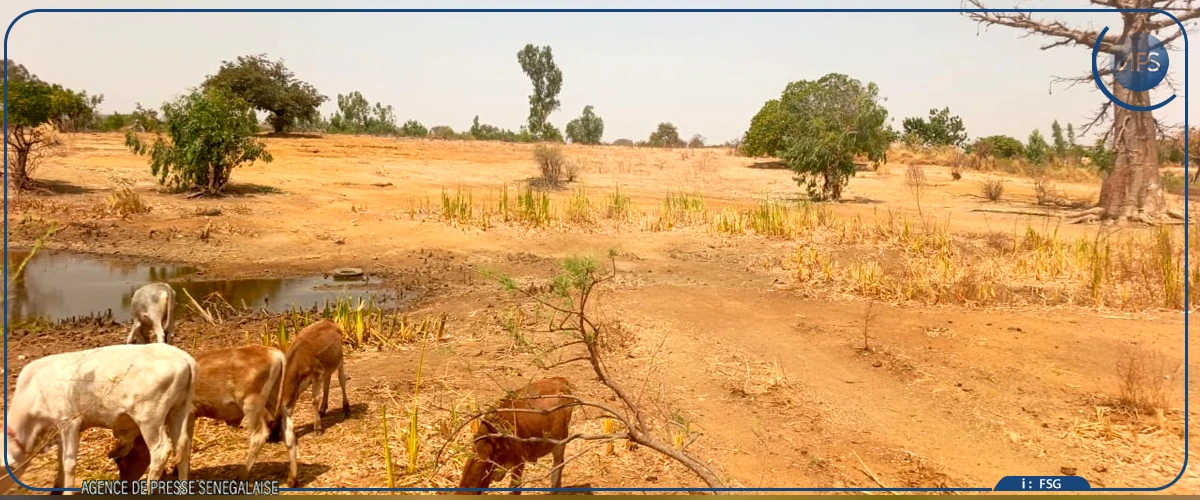 Khosenanou ou la résilience d'un village dépourvu d'infrastructures sociales de base