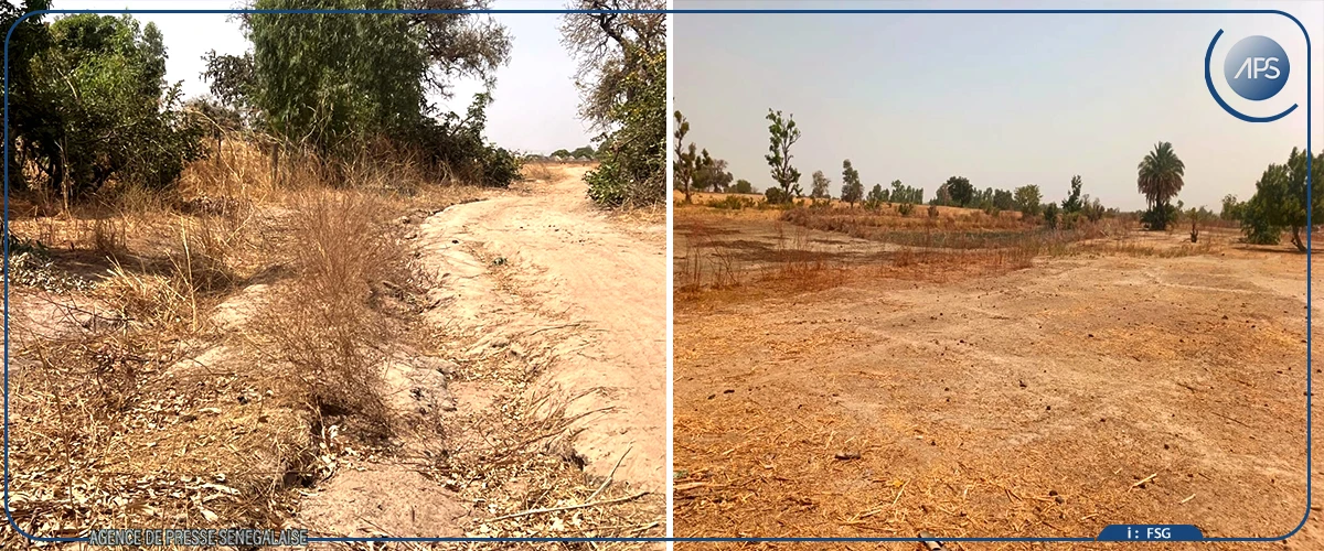 Khosenanou ou la résilience d'un village dépourvu d'infrastructures sociales de base