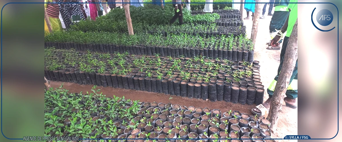 Abdourahmane Diouf s'imprègne de la situation environnementale de la région de Tambacounda