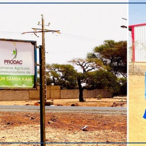 A Bambey, attentes fortes pour le démarrage des activités du DAC de Keur Samba Kane