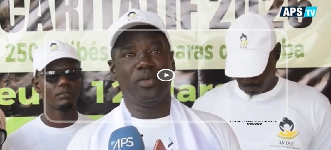 Touba : AVISE offre un ndogou de solidarité à plus de 200 talibés