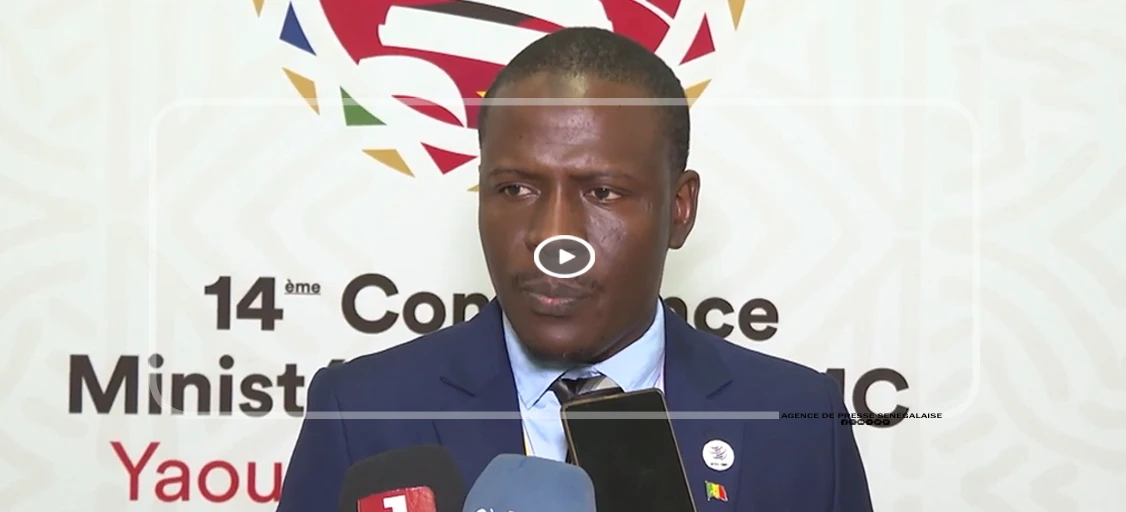 CM14 à Yaoundé : des négociations sous tension à l’approche du dénouement