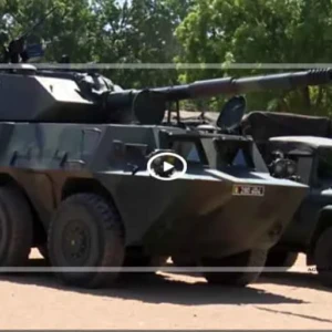 Bataillon blindé : pilier de la puissance terrestre sénégalaise