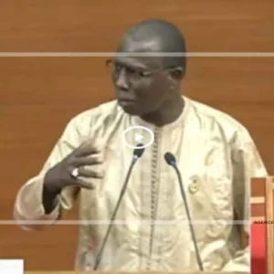 Alioune Ndao : "La criminalisation de l’homosexualité est un faux débat"