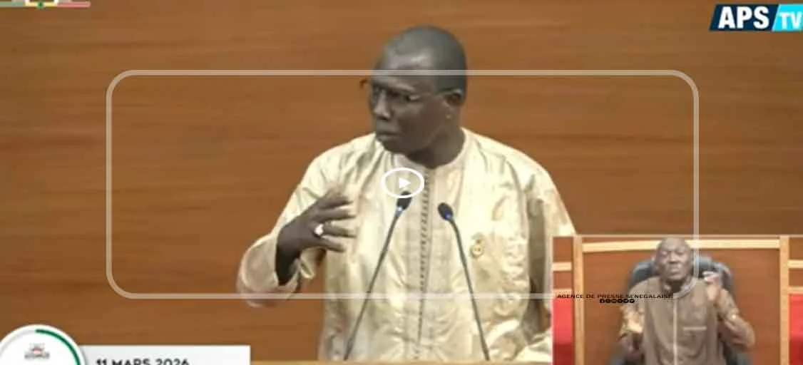 Alioune Ndao : “La criminalisation de l’homosexualité est un faux débat”