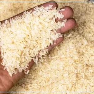 Circulaire du PM sur le riz local : l'interprofession salue "une avancée majeure pour la promotion de la production nationale"