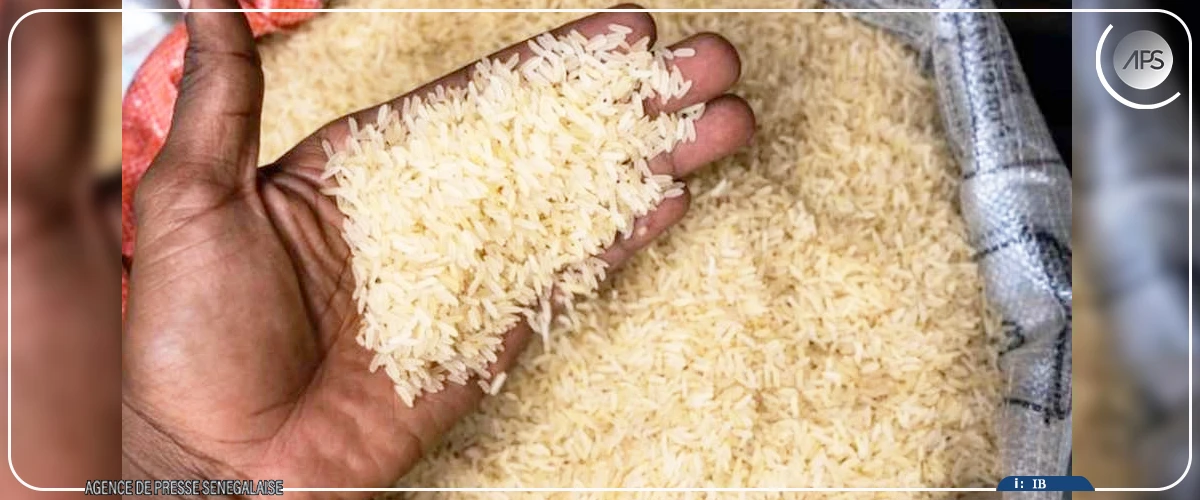 Circulaire du PM sur le riz local : l'interprofession salue "une avancée majeure pour la promotion de la production nationale"
