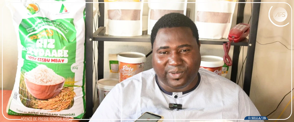 A Tambacounda, une société d'encadrement salue la subvention du riz local et promet d'accompagner 1 000 producteurs