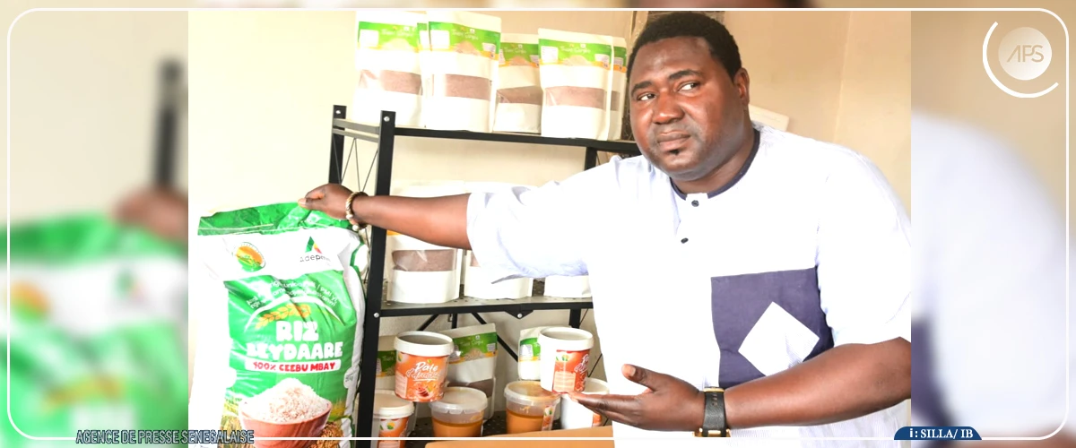 A Tambacounda, une société d'encadrement salue la subvention du riz local et promet d'accompagner 1 000 producteurs