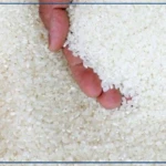 Le gouvernement subventionne le riz local à raison de 50 francs CFA le kilo