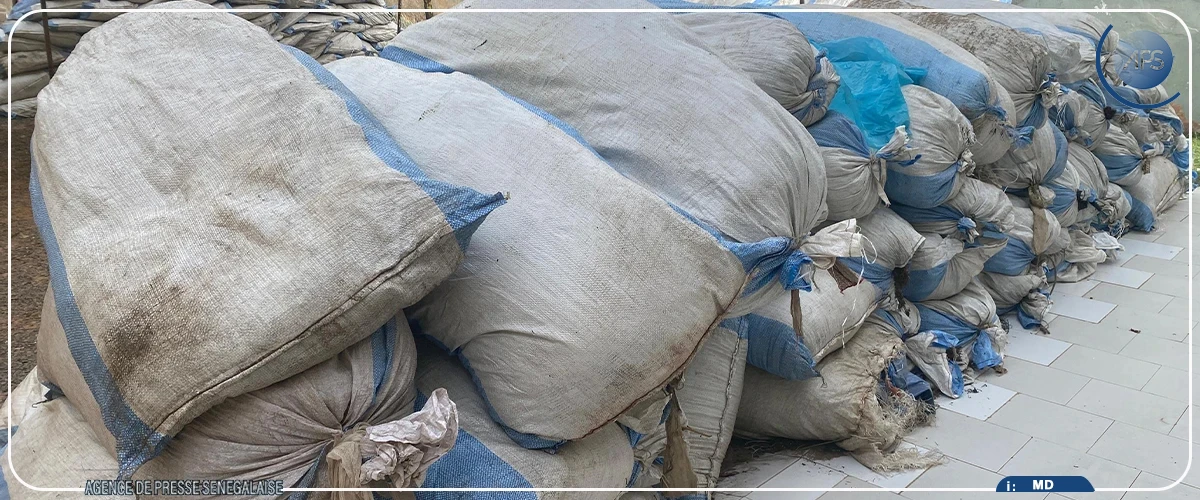 Le Plan Diomaye, au cœur des politiques publiques en Casamance