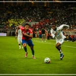 Les Lions imposent leur loi aux Scorpions