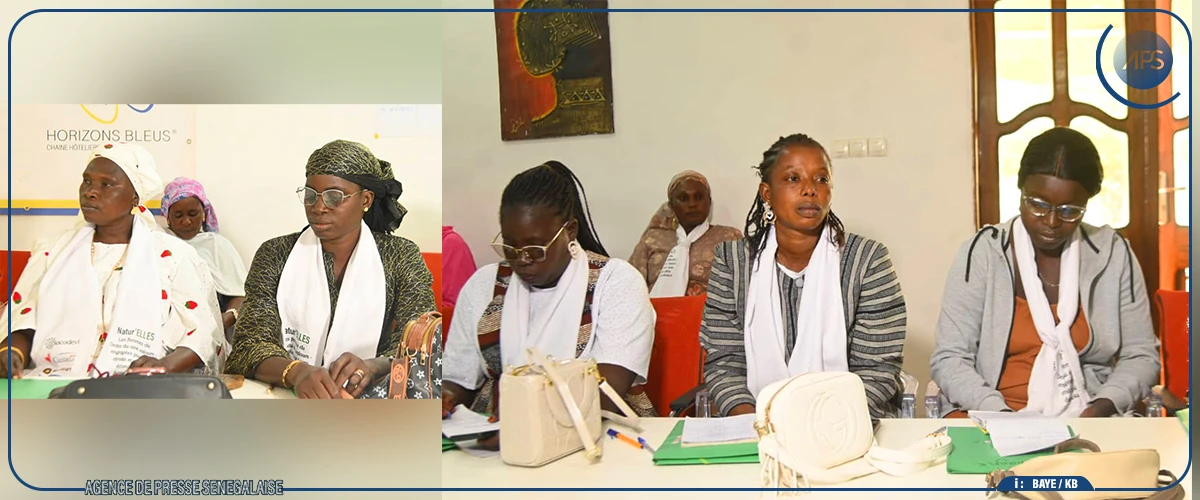 Kaolack : l’autonomisation économique des femmes du delta du Sine-Saloum au menu d'un atelier de réflexion